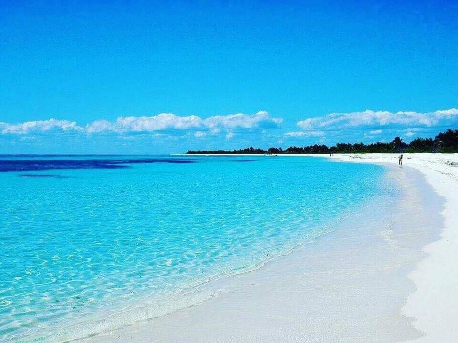 Les Pieds Dans L'Eau Chez Syl Διαμέρισμα Le Moule Εξωτερικό φωτογραφία